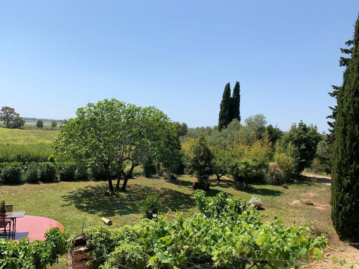 Casale Degli Ulivi Maccarese Villa Le Cerquete Exterior photo